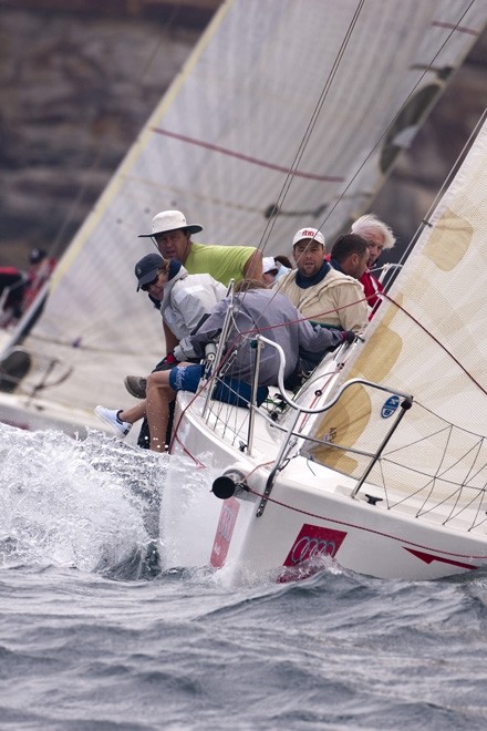 Hello Tiger - Audi Sydney Harbour Regatta 2011 ©  Andrea Francolini / Audi http://www.afrancolini.com